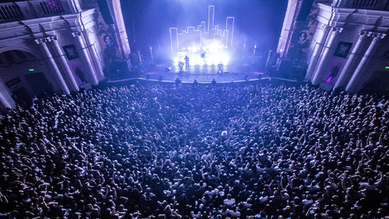 Crowd at gig